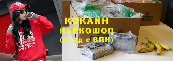 шишки Алзамай