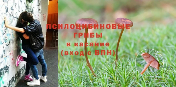 а пвп мука Алексин