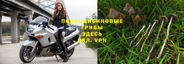 шишки Алзамай