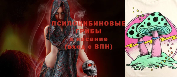 шишки Алзамай