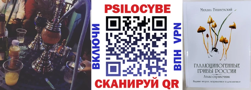 Галлюциногенные грибы GOLDEN TEACHER  продажа наркотиков  Николаевск 